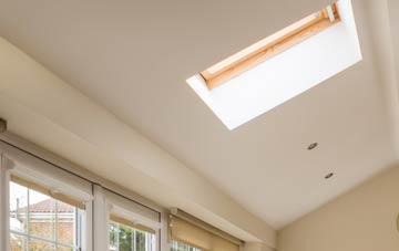 Hynish conservatory roof insulation companies
